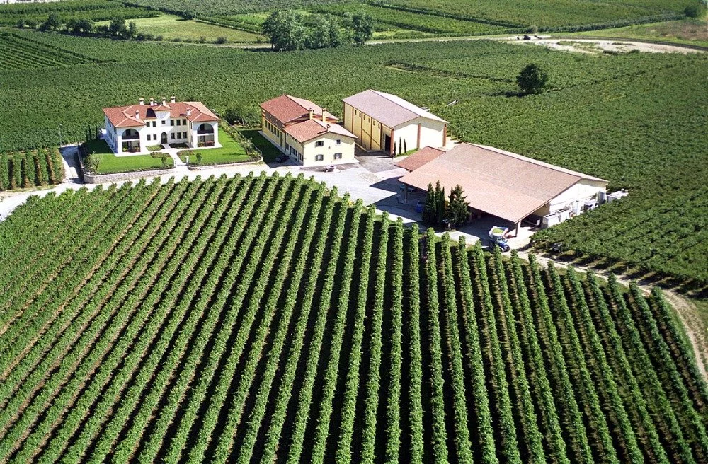 AZIENDA  AGRICOLA MESSINA A.