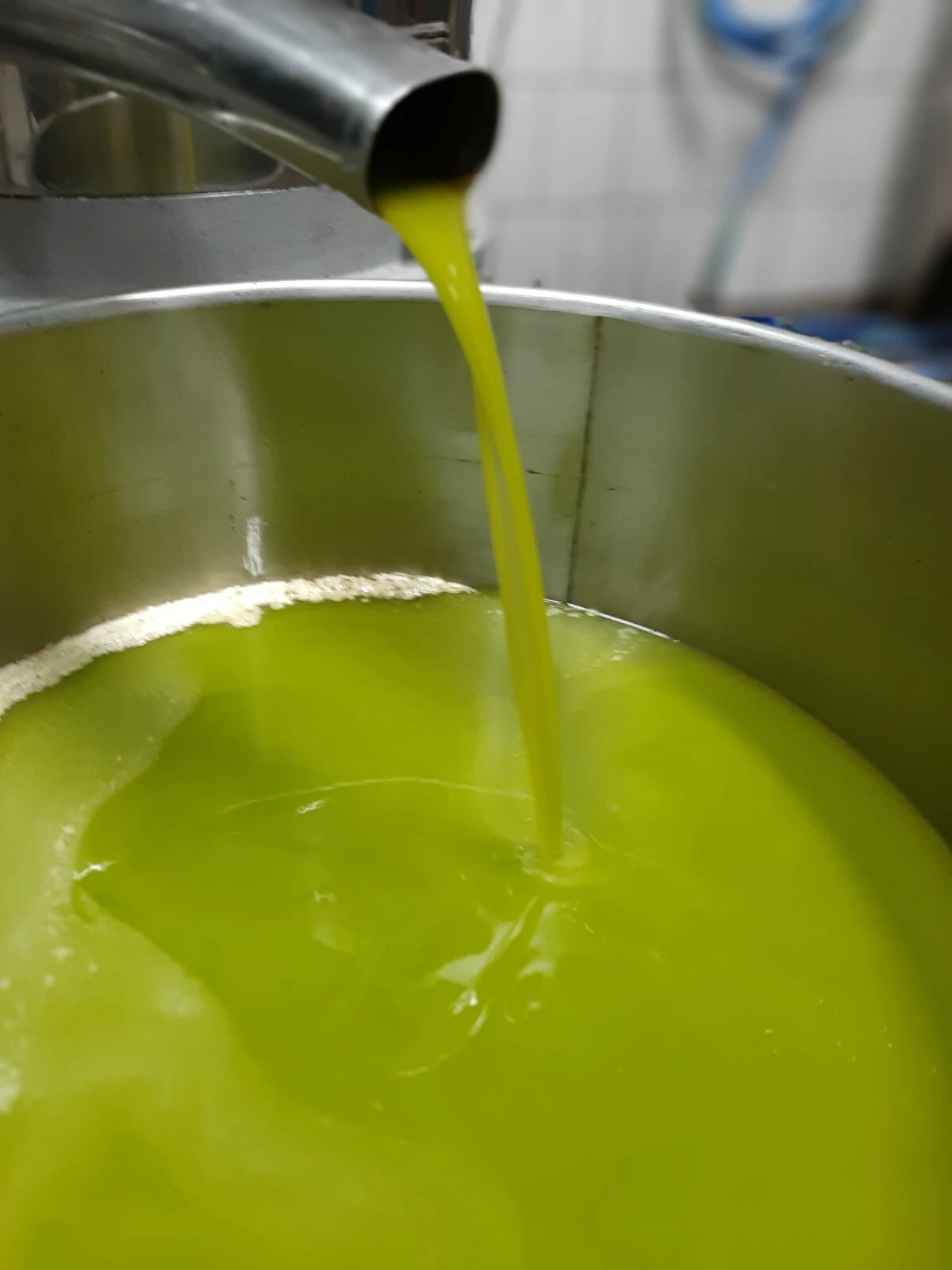 Olio extravergine di oliva