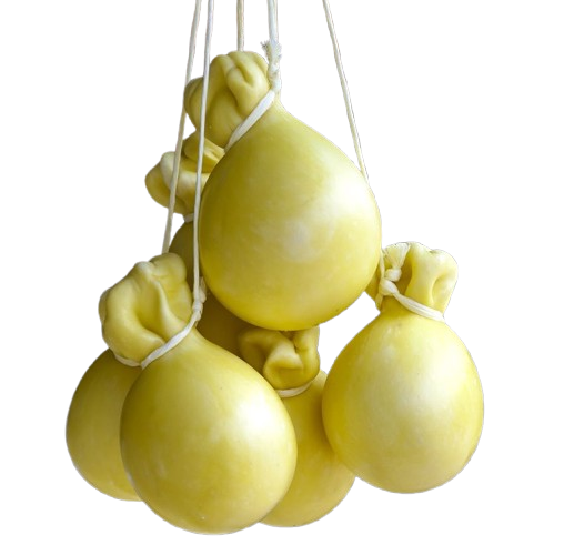 Provola
